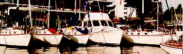 Cape Dory boats moored at Encinal YC